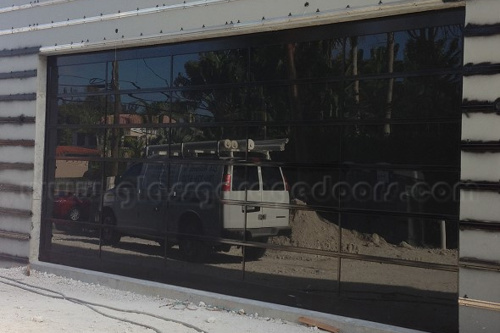 Black-framed  bp glass garage door with dark tinted panels reflecting a white van and trees outside.