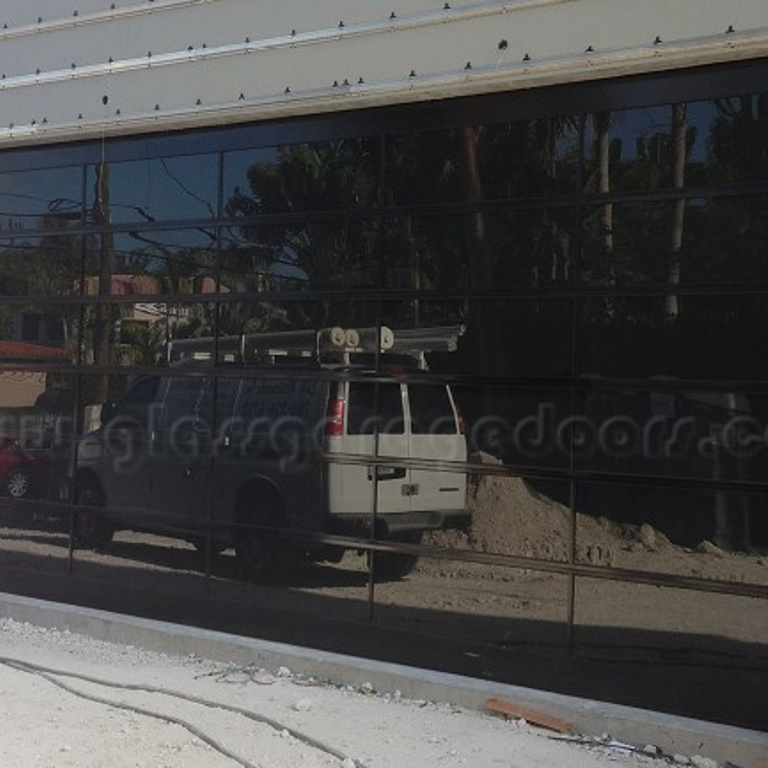 Black-framed  bp glass garage door with dark tinted panels reflecting a white van and trees outside.
